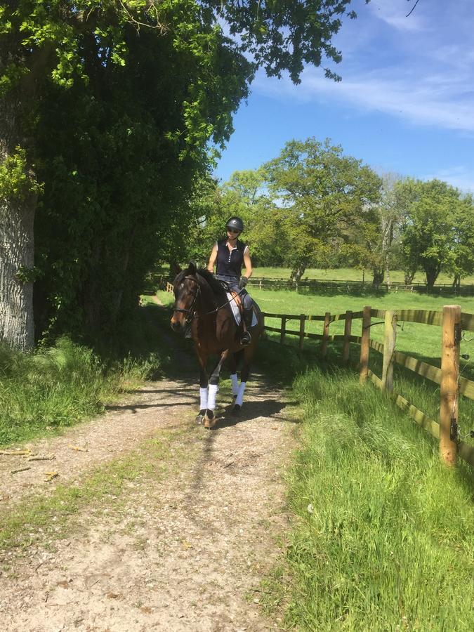 Les Gites Haras Del Paradiso Boitron 外观 照片